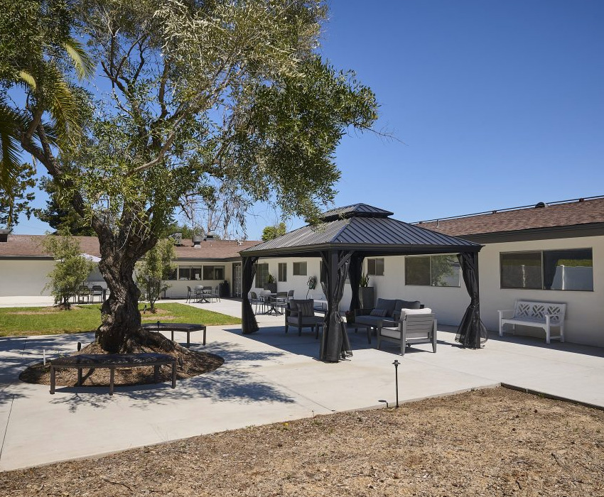 Valle Vista patio and shade tree